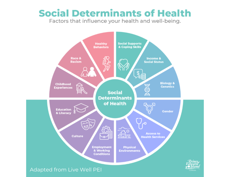 Social determination of health graphic