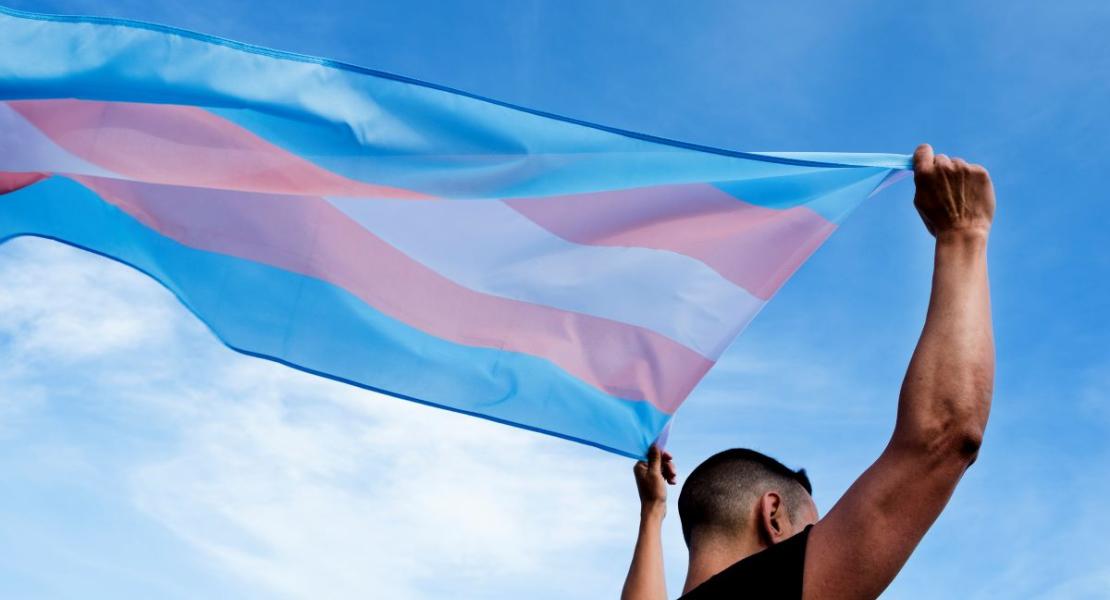 person holding a transgender pride flag over their head